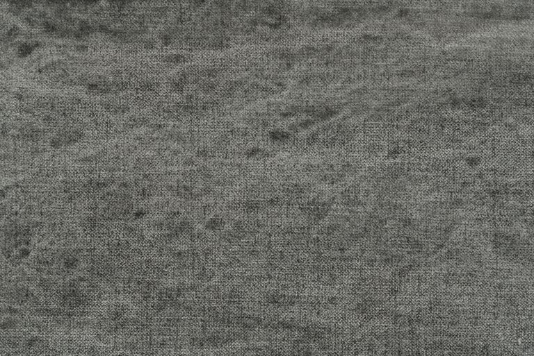 Photo of affection elephant