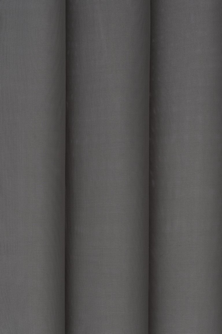 Photo of alpha elephant