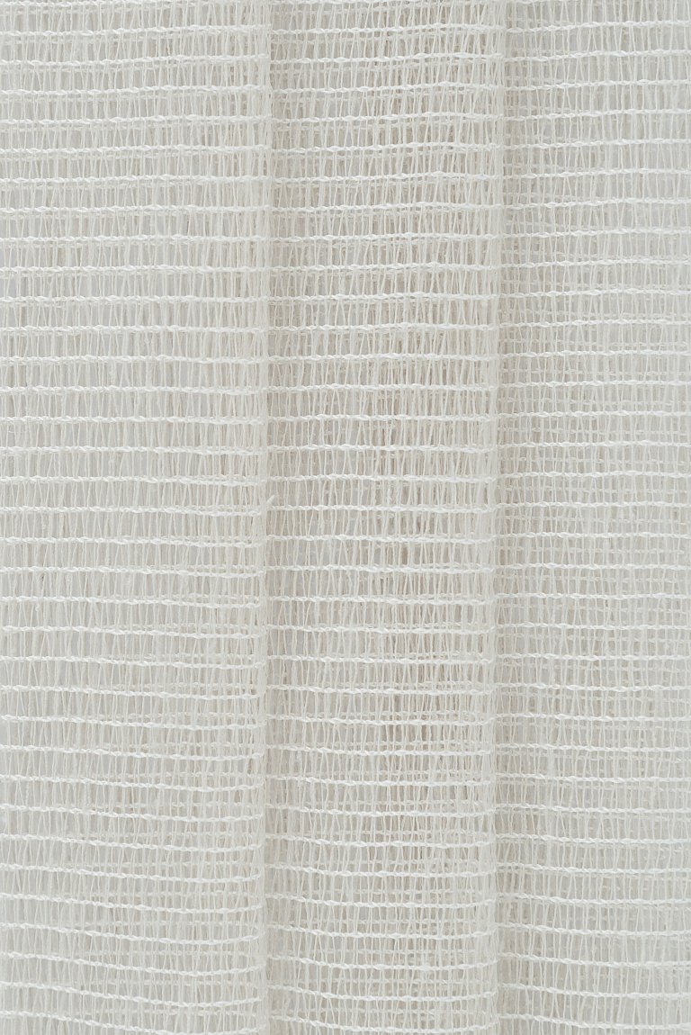 Photo of amigo natur