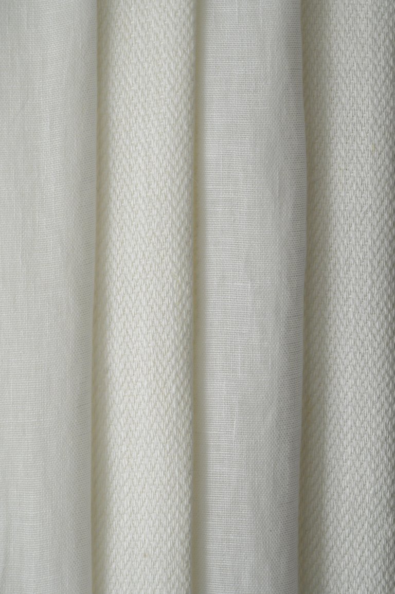 Photo of avenue natur