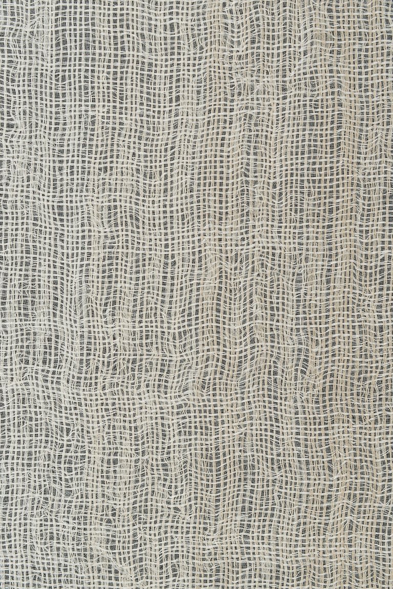 Photo of bizarre natur