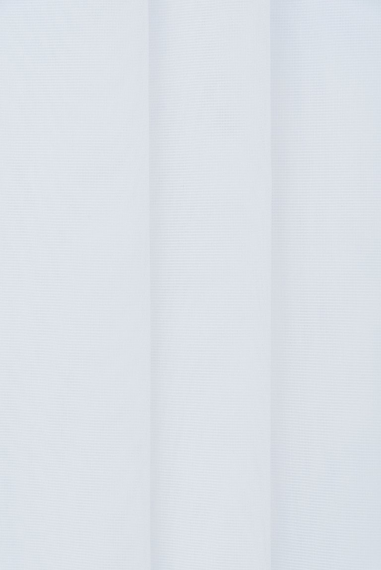 Photo of caribbean white