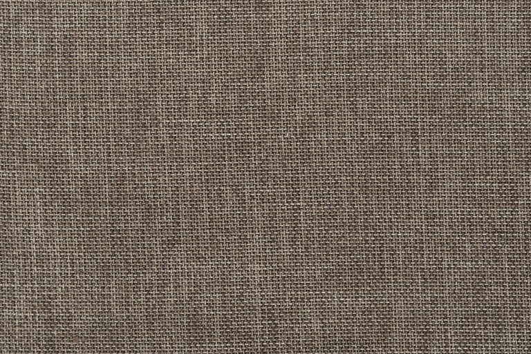 Photo of forward brown