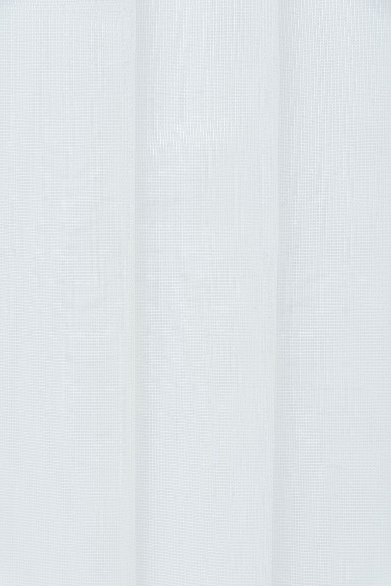 Photo of hollywood white