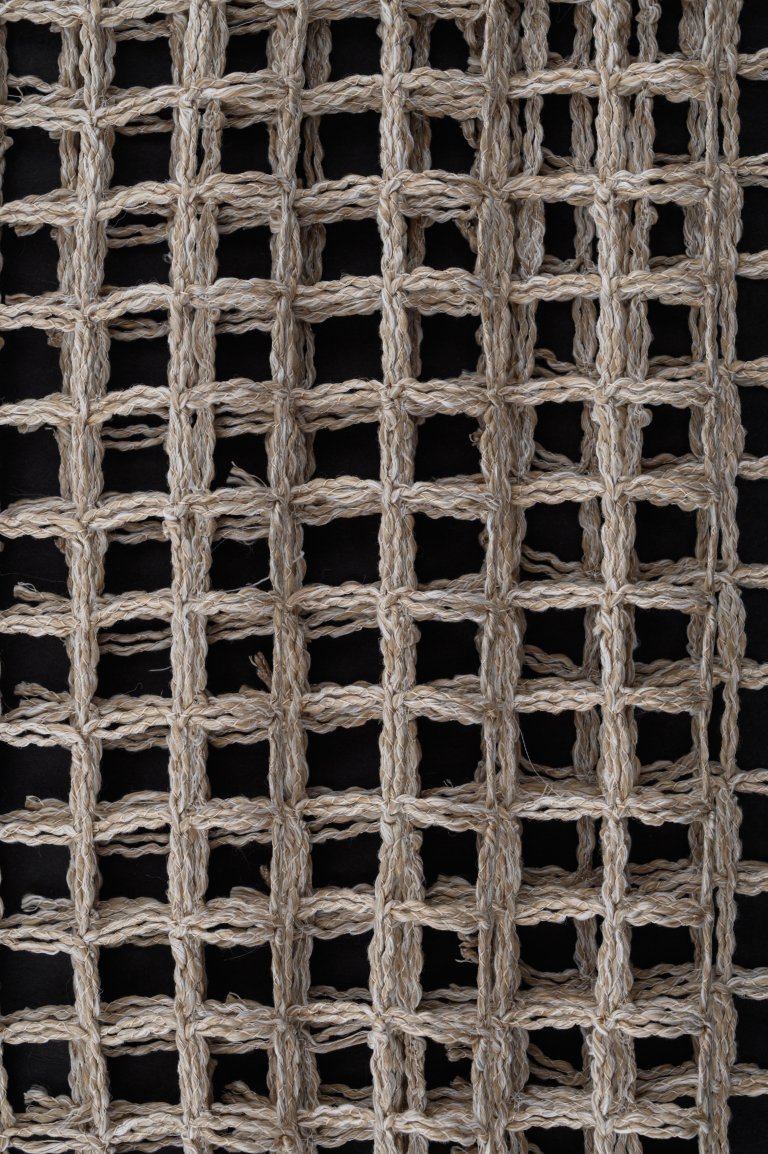 Photo of kappa beige