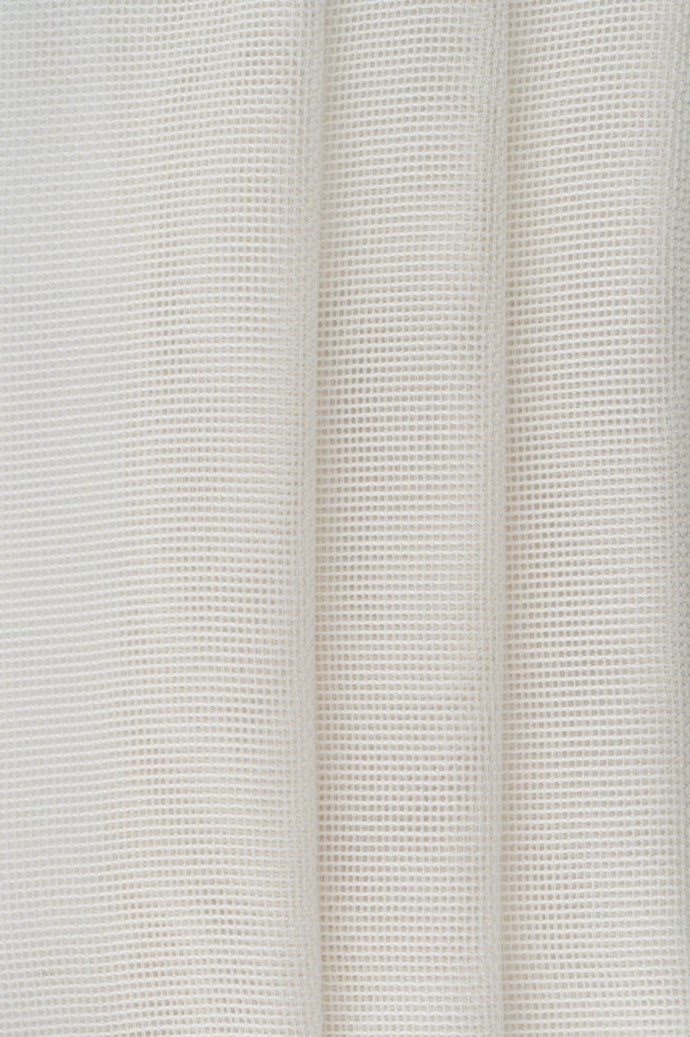 Photo of leomar natur