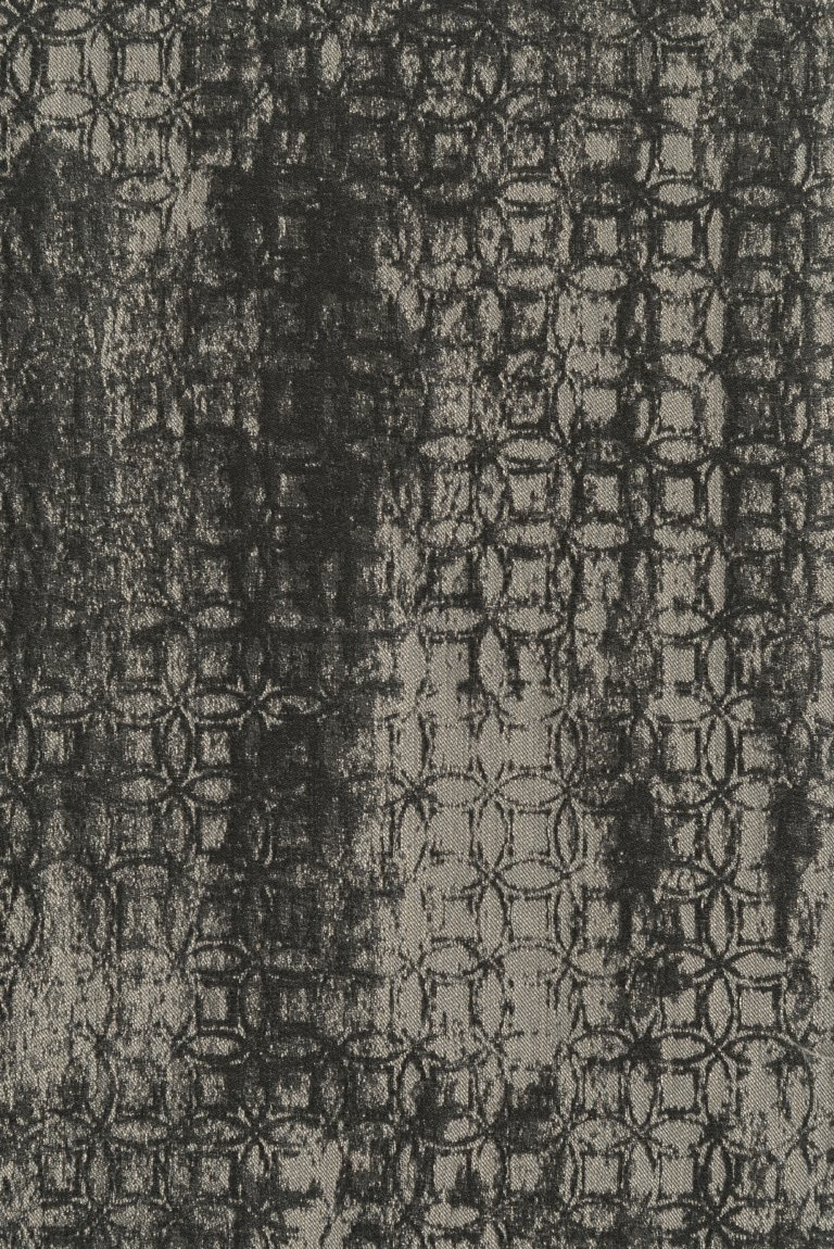 Photo of monadic elephant