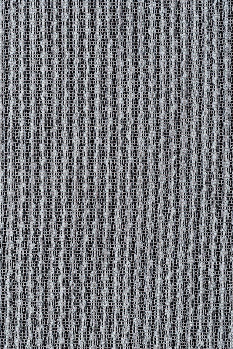 Photo of nexus elephant