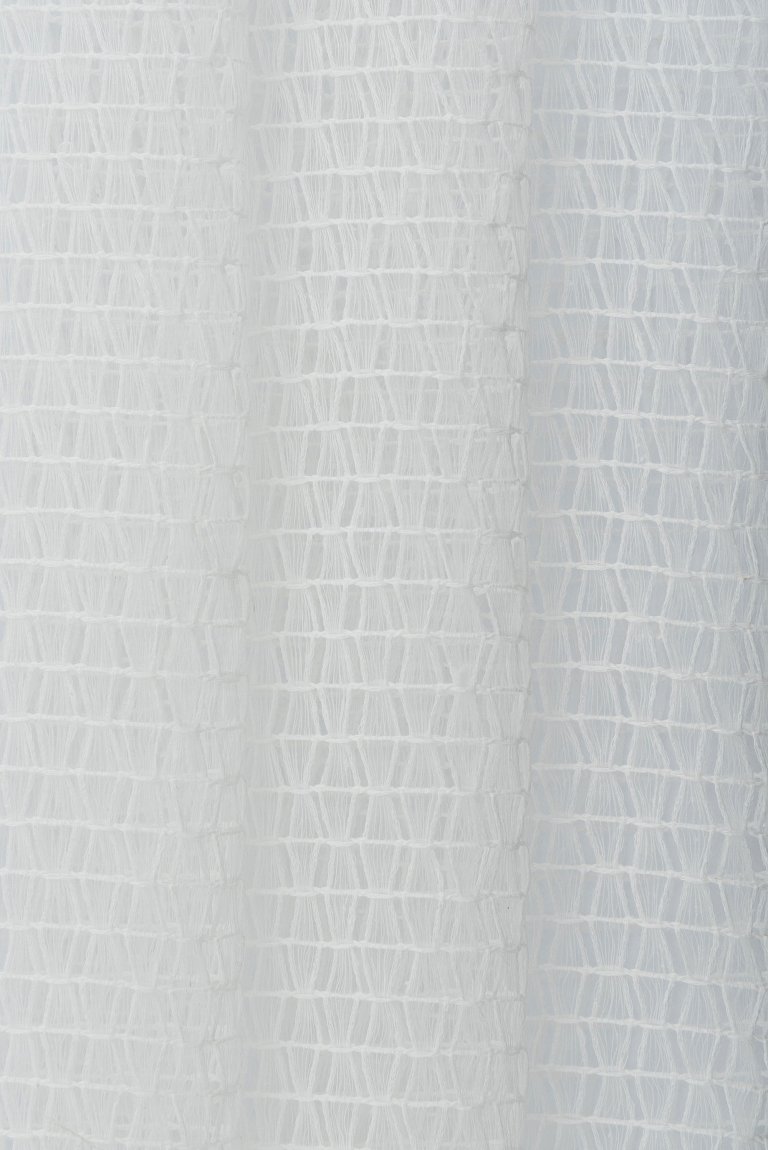 Photo of nordic white