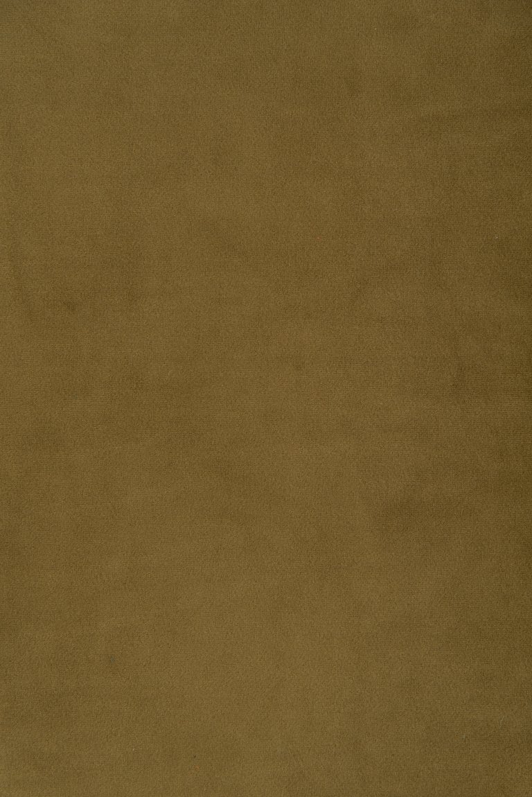 Photo of velvet paradise olive