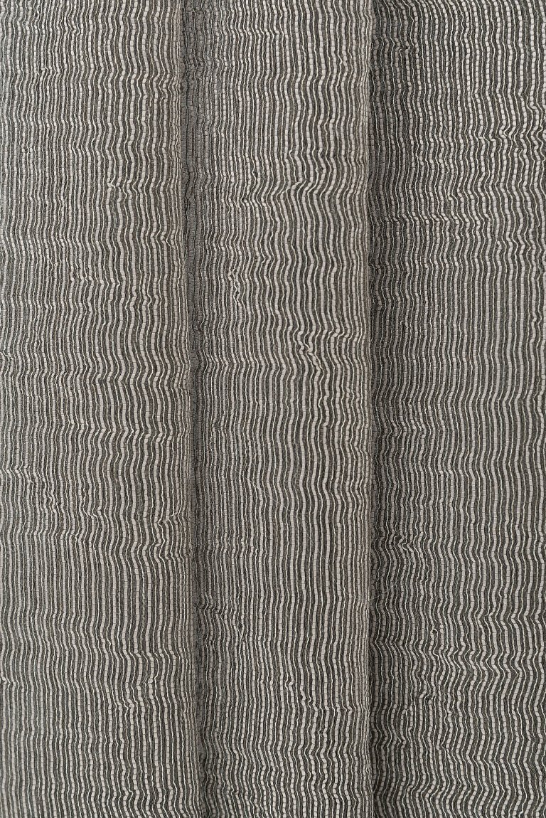 Photo of pretty elephant