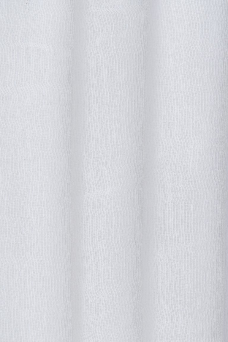 Photo of protagonist white