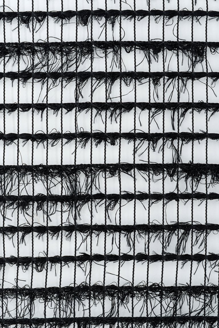 Photo of rebel black