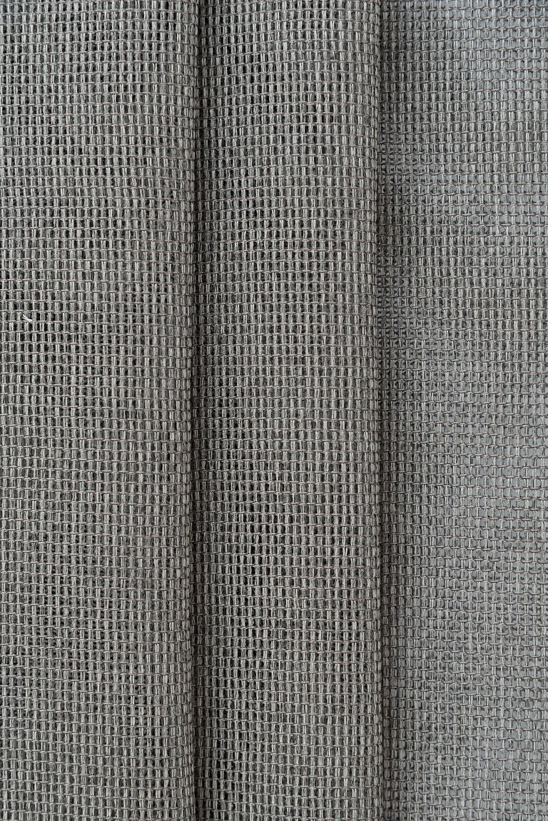 Photo of sonic elephant