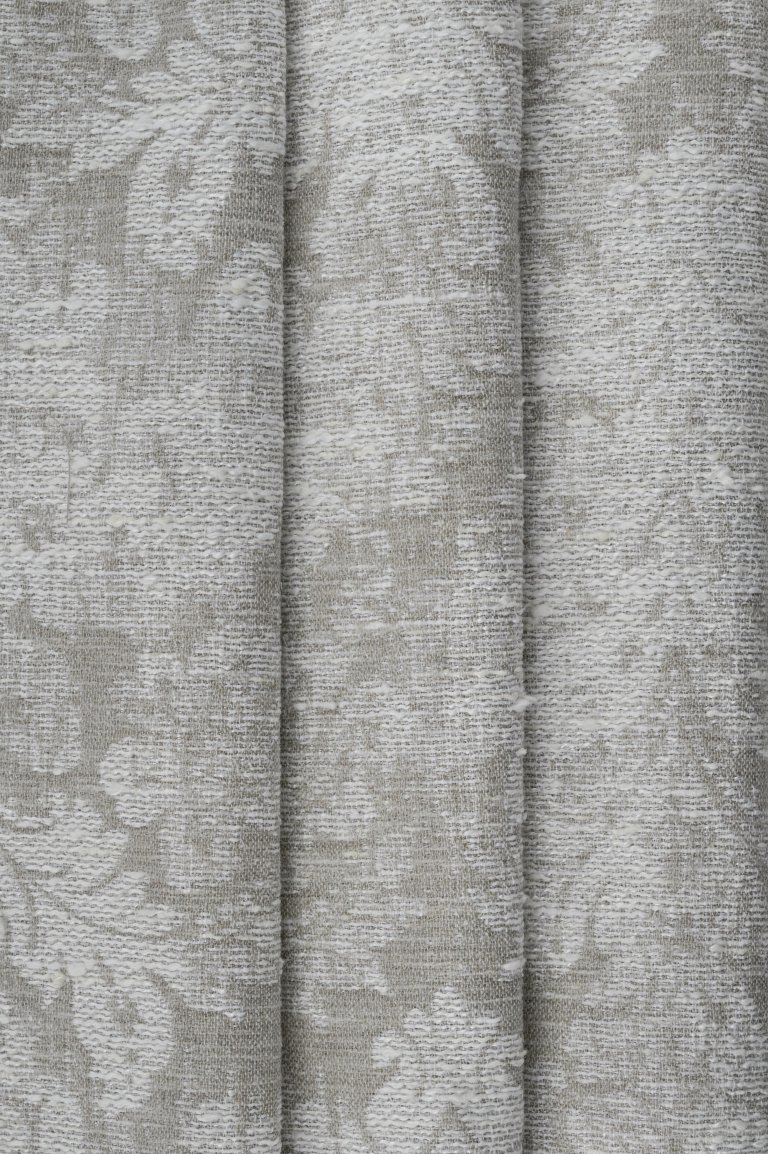 Photo of ventus natur