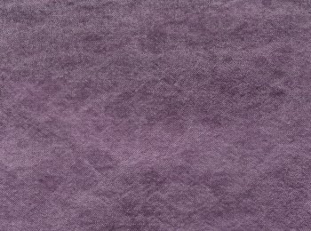 Photo of affection purple