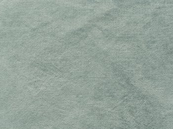 Photo of affection frog green