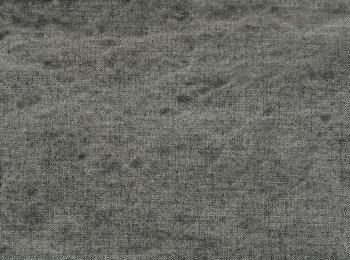 Photo of affection elephant