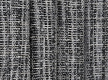 Photo of africa grey