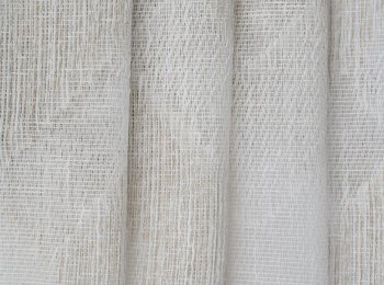 Photo of alkyone natur