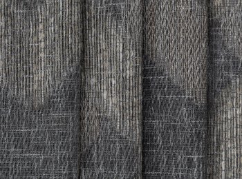 Photo of alkyone grey