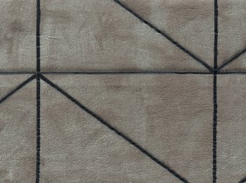 Photo of apex elephant