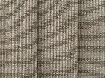 Photo of basis bronze