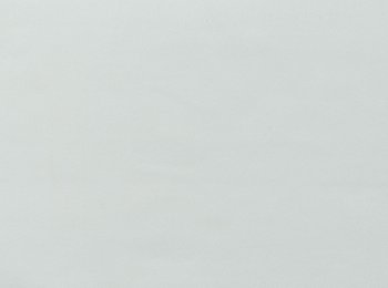 Photo of dimout beloved ice