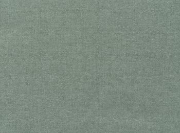 Photo of benefit green tea