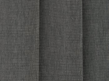 Photo of bird anthrax