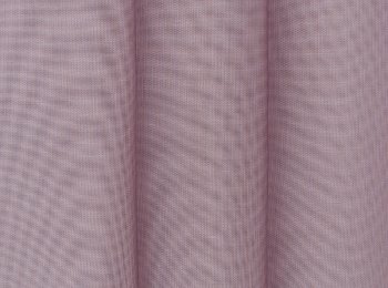 Photo of bright lila