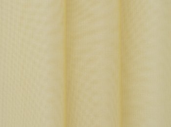 Photo of bright yellow