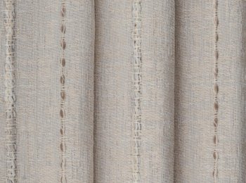 Photo of cactus beige-chocolate