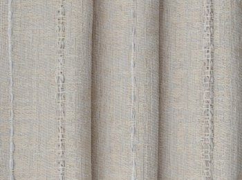 Photo of cactus beige-off white