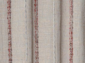 Photo of cactus beige-red