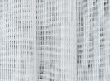 Photo of canaries natur