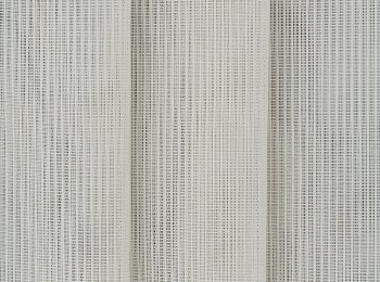 Photo of canaries l.beige