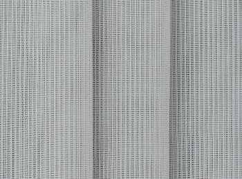 Photo of canaries l.grey