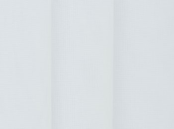 Photo of caribbean natur