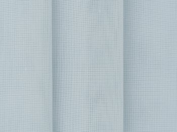 Photo of caribbean l.grey