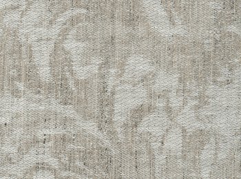 Photo of cassandra sand