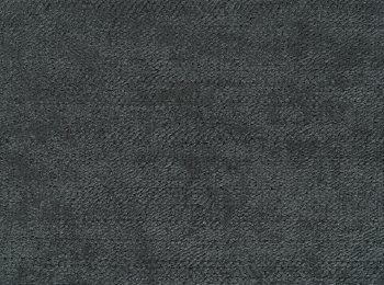 Photo of comfort anthrax