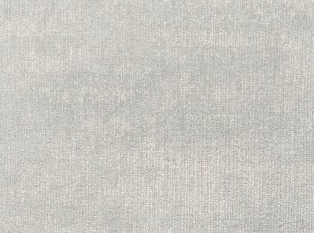 Photo of dazzling grey-silver