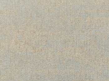 Photo of dazzling taupe-silver