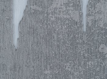 Photo of diego anthracite