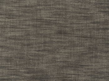 Photo of ela black-brown