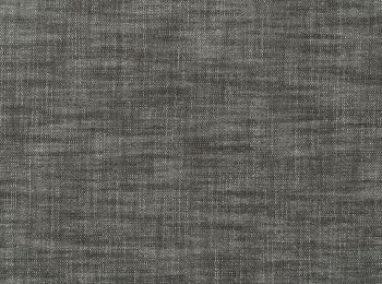 Photo of ela anthrax