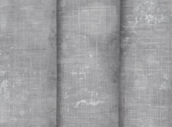 Photo of electra l.grey