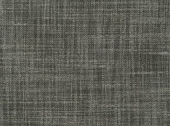 Photo of ergo anthrax