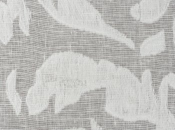 Photo of ethereal white